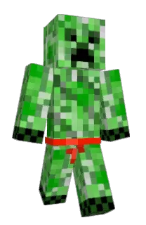 Front of sakada29's skin