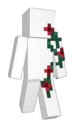 Minecraft skin — Classic model