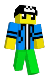 Skin preview