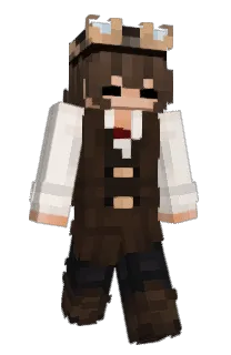 Front of Vii_Wiii's skin
