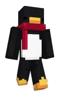 Front of C0ldix's skin