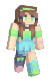 Skin preview
