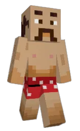 Classic Minecraft skin