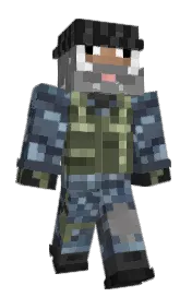 Skin preview