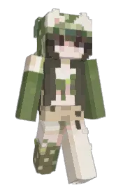 Skin preview
