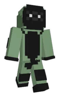 Front of hiXOLTage's skin