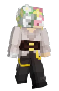 Front of Minecraft skin