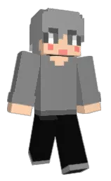 Back of Minecraft skin