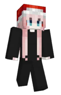 Front of ZUHNPL's skin