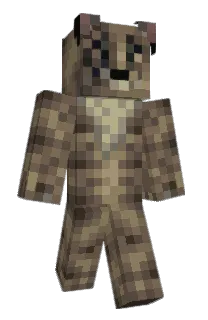 Front of vydzz's skin