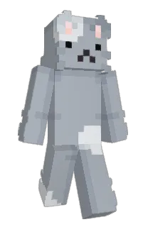 Front of Asurip's skin