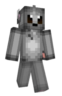 Front of Minccino's skin