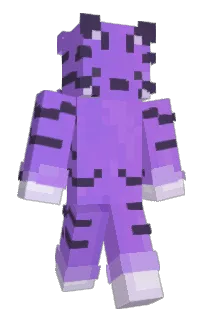 Front of ourplee's skin