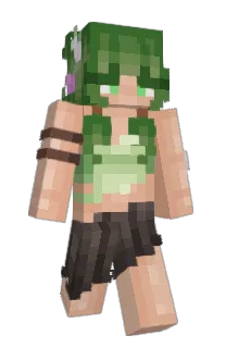 Front of ValleyVA's skin