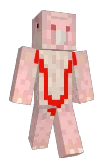 Front of Six1o's skin