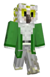 Skin preview