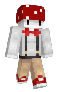 Front of minikola's skin