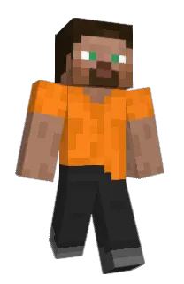 Front of Sact's skin