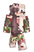AeroApexal