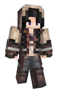Front of artshroom's skin