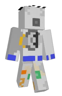 Front of vhdn's skin
