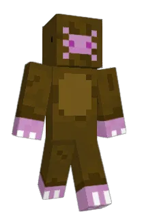 Front of Maj0rDwarf's skin