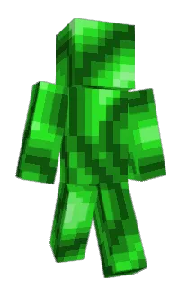 Front of Avigin's skin