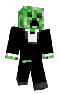 Front of Carosbee's skin