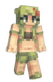 Skin preview