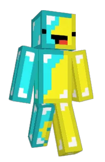 Front of Bibemile's skin