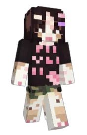 Skin preview