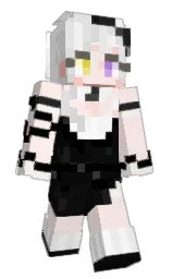 Minecraft skin — Classic model