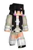 CasiCraft