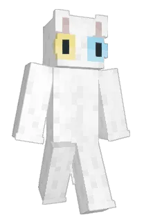 Front of Minecraft skin