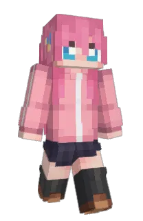 Front of IDFCAYM's skin