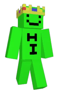Front of Toopis's skin