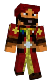 Skin preview