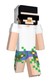 Skin preview