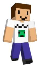 manhattan and white Minecraft skin — Classic model