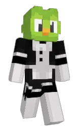 Slim Minecraft skin