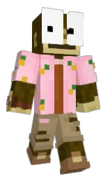 Minecraft skin — Classic model