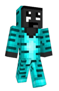 Front of HALASTRA's skin