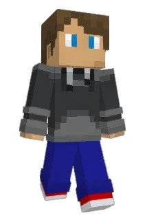 4cookis Minecraft avatar full body