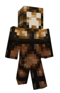 Front of Hecs's skin