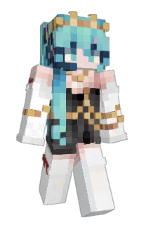 Front of ds630's skin