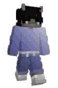 Rovag