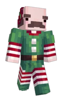 Front of bwunns's skin