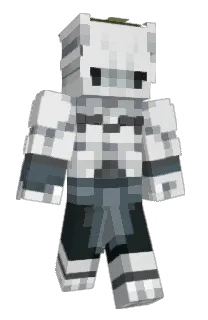 avoidedentity's Minecraft skin