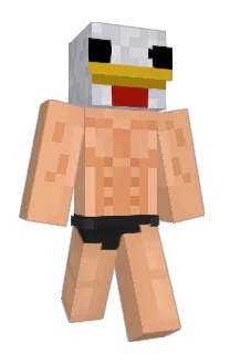 Front of Minecraft skin