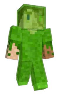 Front of Retri_'s skin